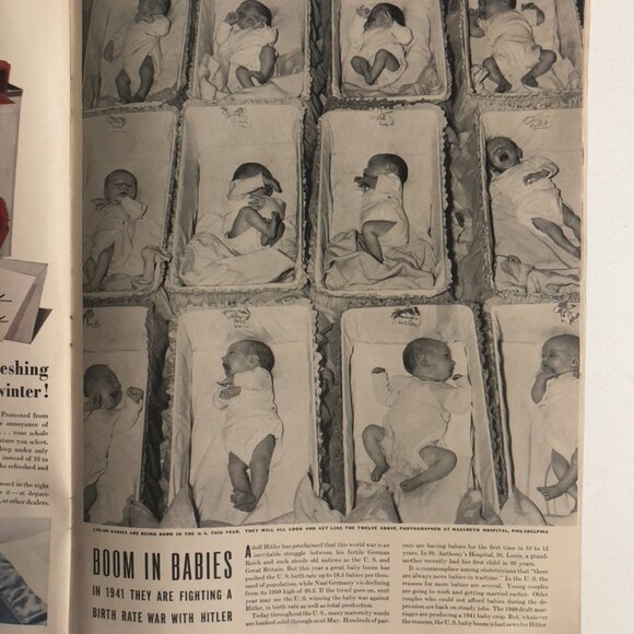 Life Magazine - Picture 12 of 15